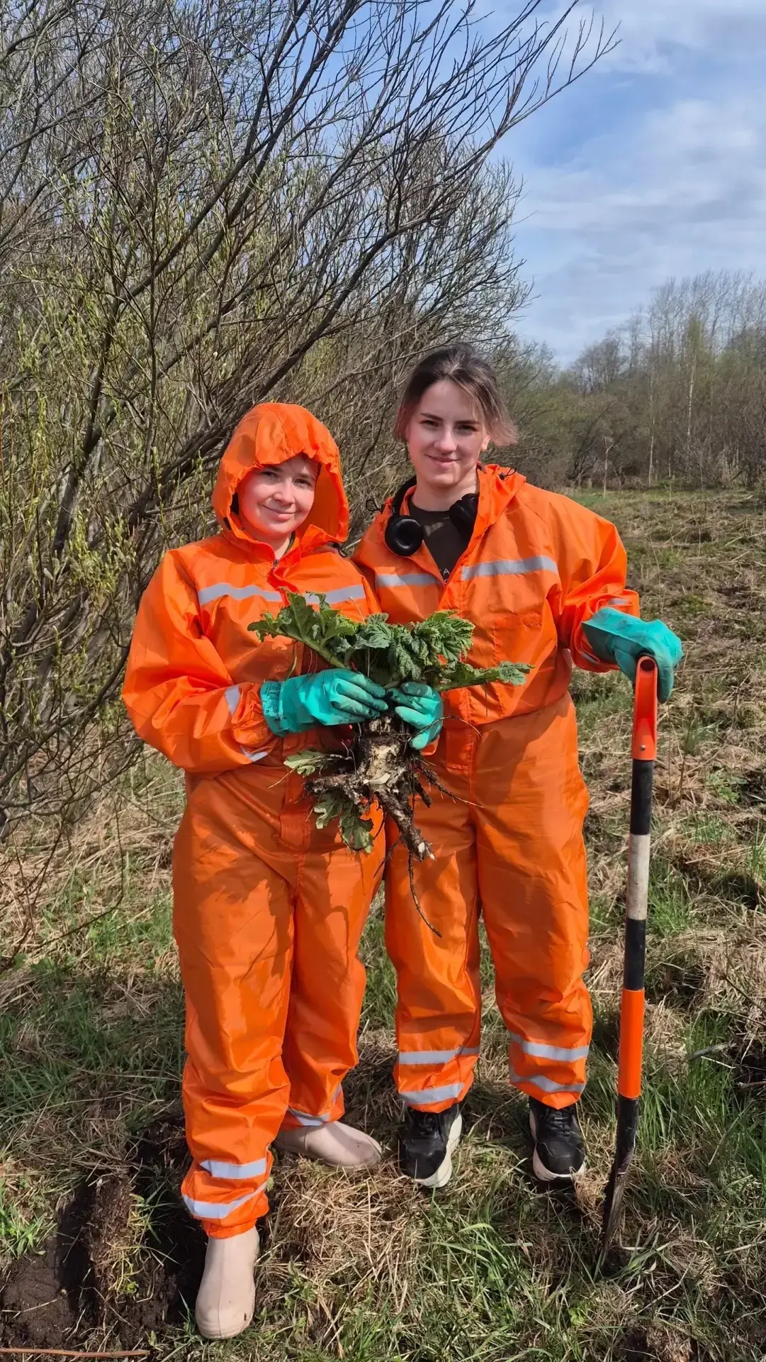 🌱 В Гладышевском заказнике волонтеры за три дня выкорчевали почти 1200 кустов борщевика  В Гладышевс