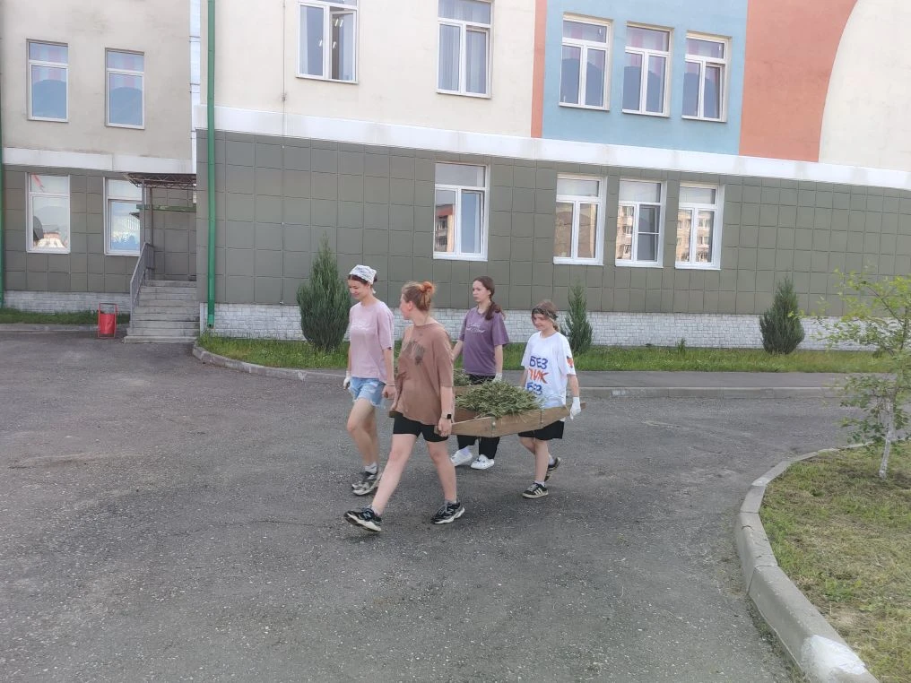 Наше трудовое лето.  ☀️