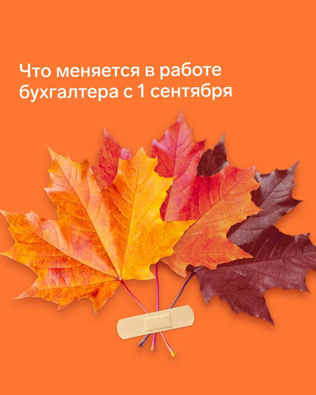 ❗️ Два десятка изменений в работе бухгалтера с 1 сентября