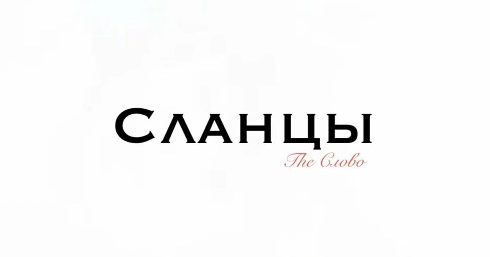 Сланцы