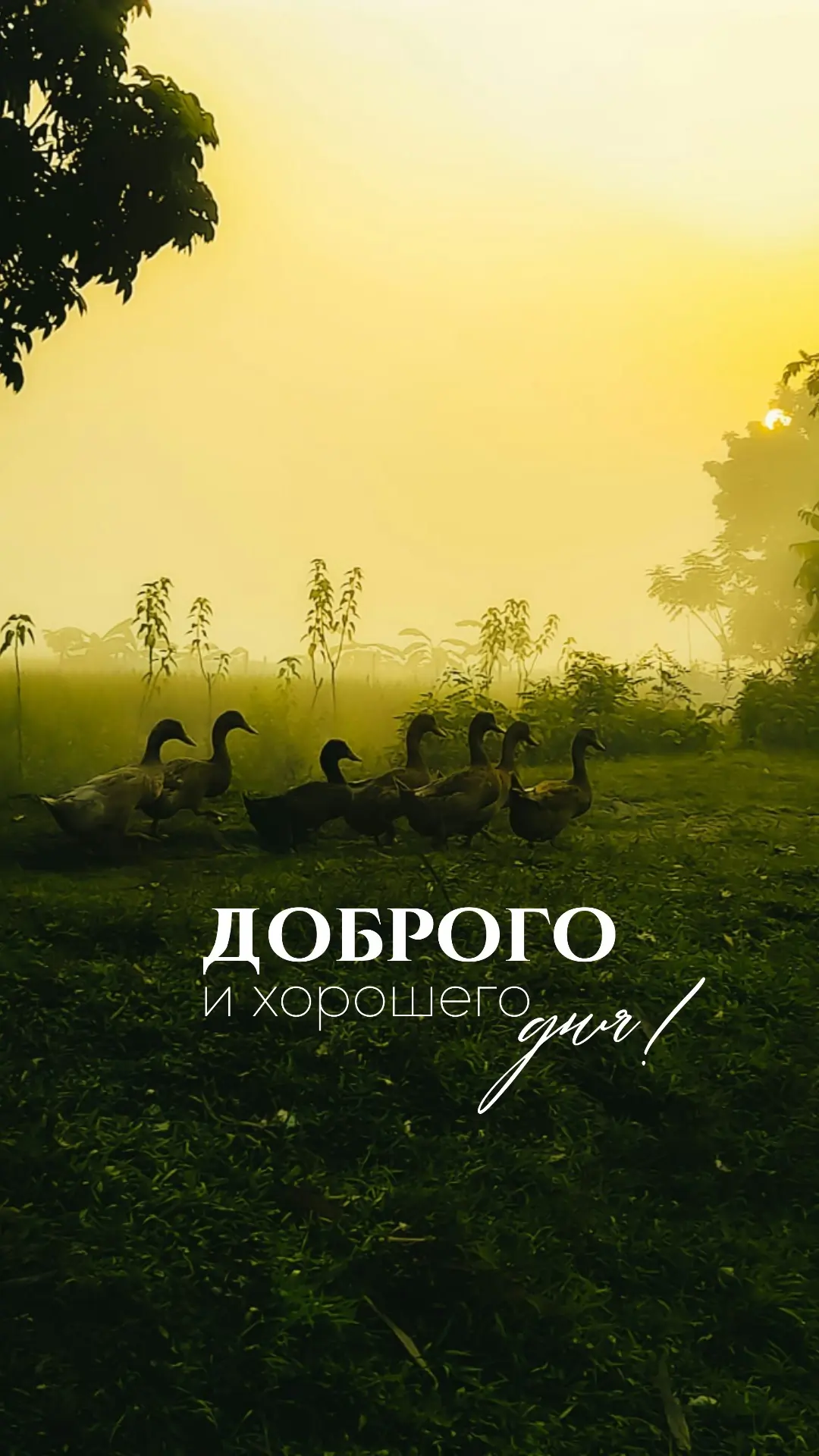 #доброеутро