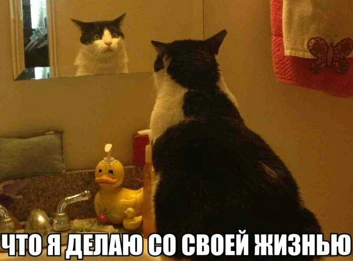 😳Югорчанке придется отработать почти 300 часов за украденную бутылку алкоголя