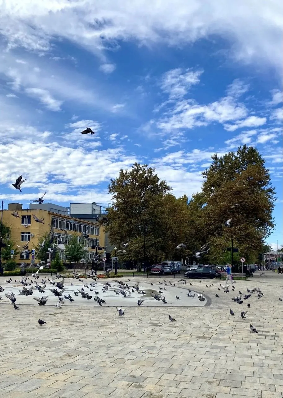 🌤По прогнозам синоптиков, сегодня ожидается тёплая, солнечная погода.