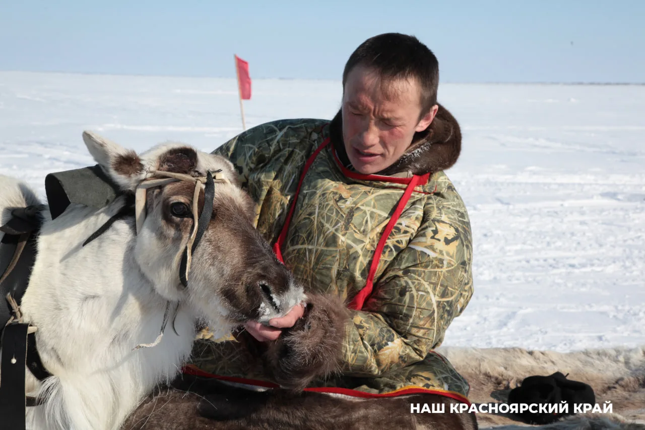 Оленеводы Таймыра смогут перейти на солнечные батареи и ветрогенераторы

Красноярский краевой парлам