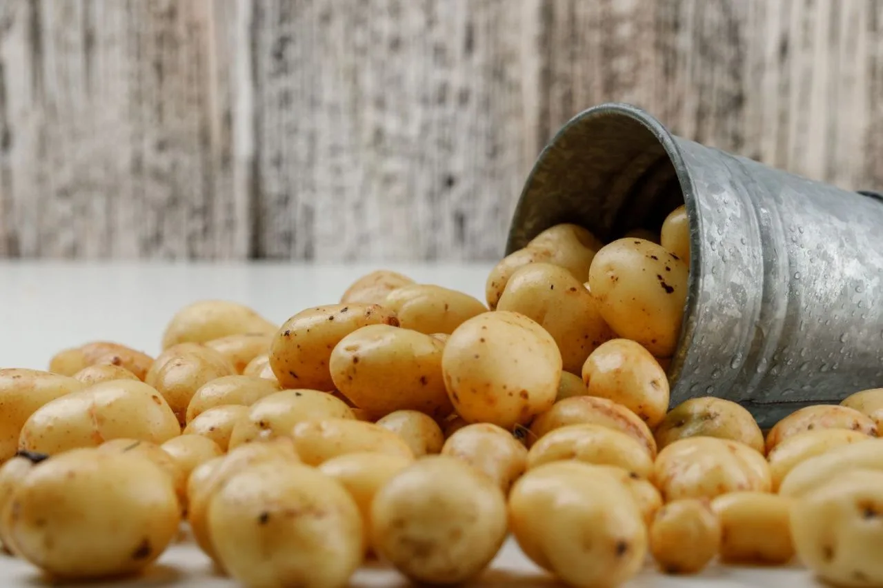 🥔На Урале могут собрать меньше картофеля из-за июльских дождей