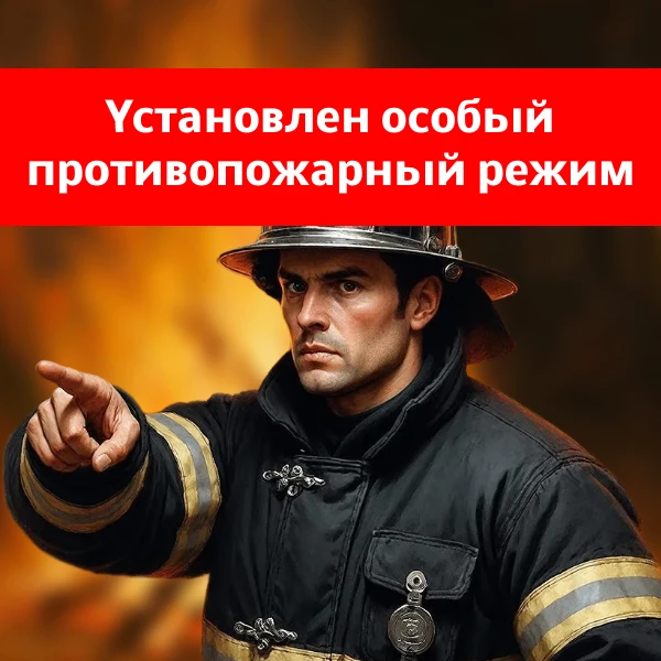 На территории Великого Новгорода введён особый противопожарный режим 🔥