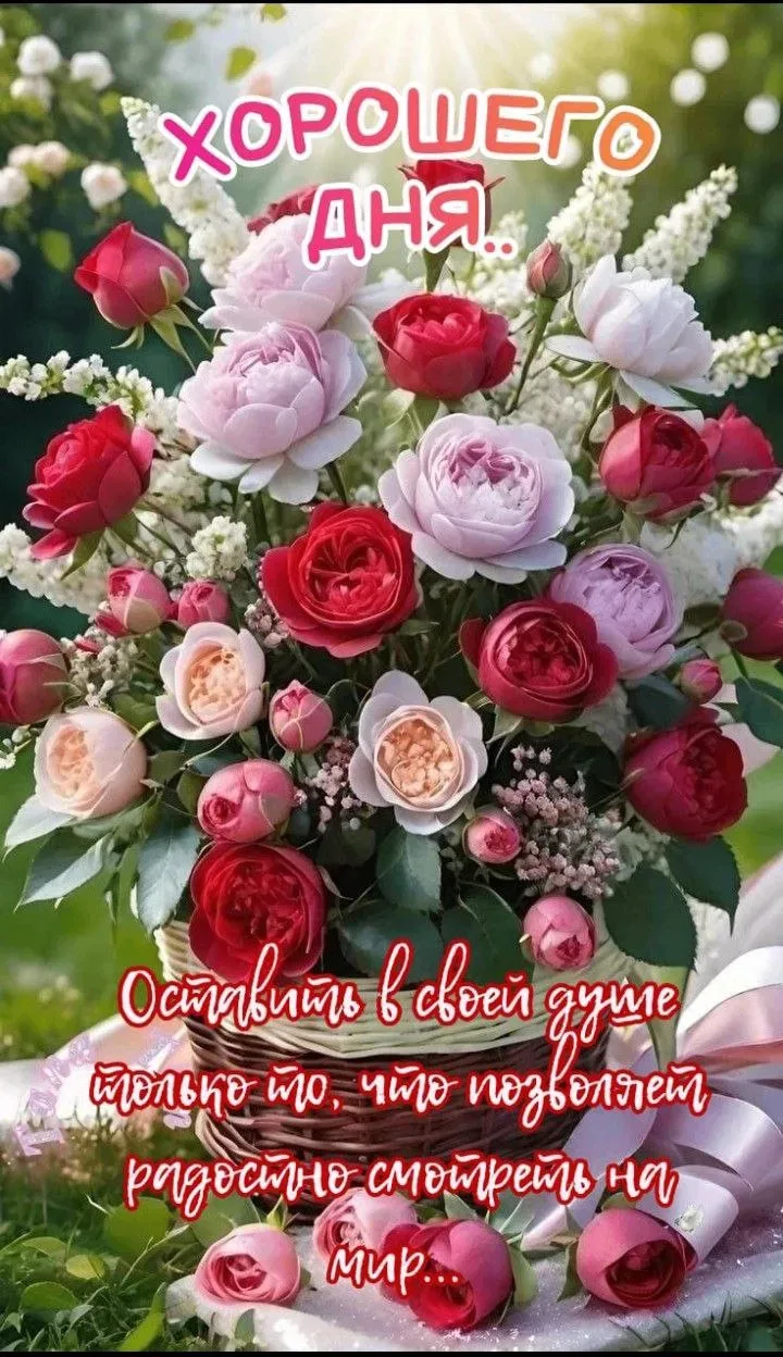 🥰Ставьте реакции и делитесь открыткой с близкими ❤️

💌Лучшие Открытки в MAX! 👉 Подписаться