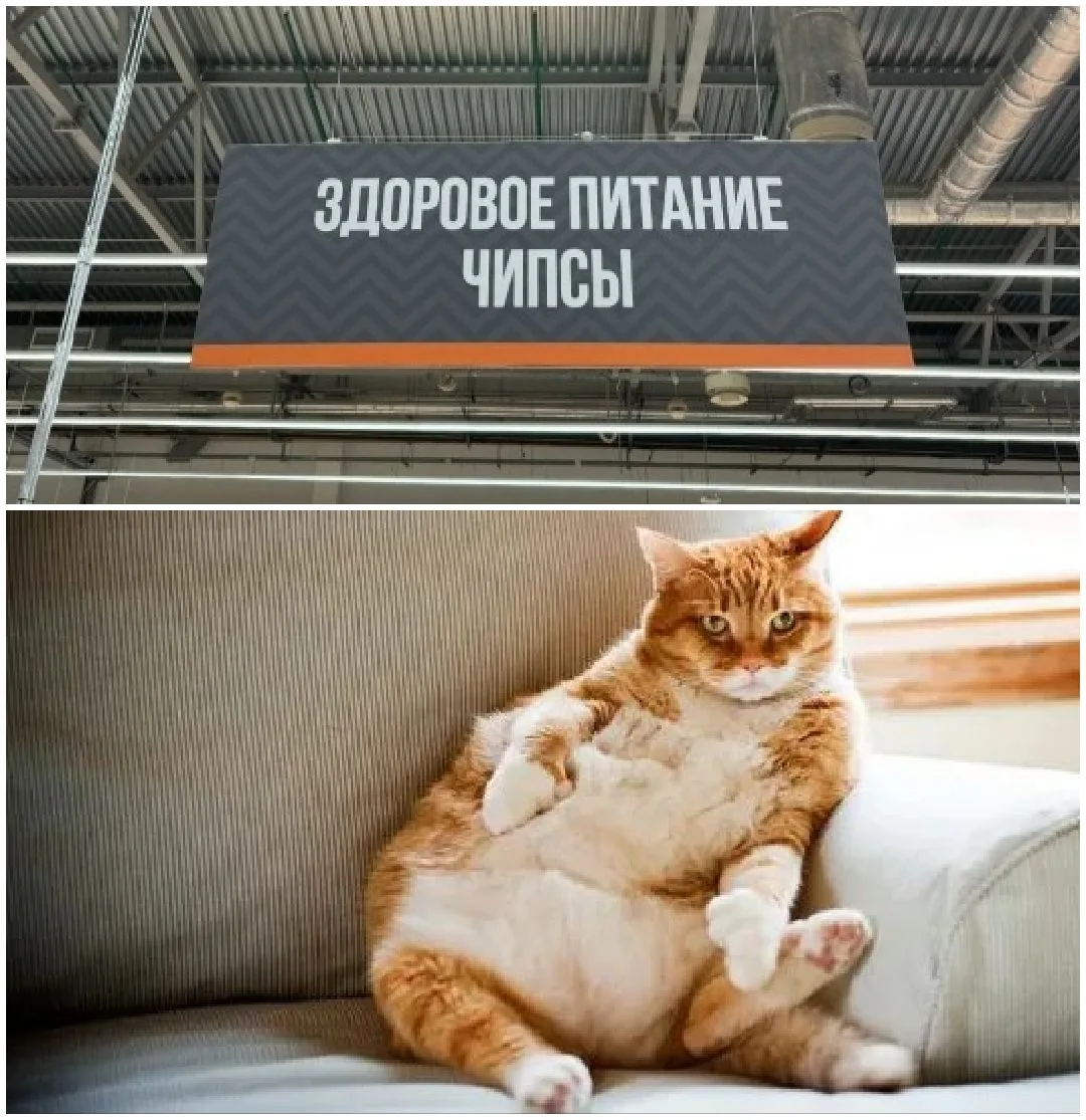 #мчп