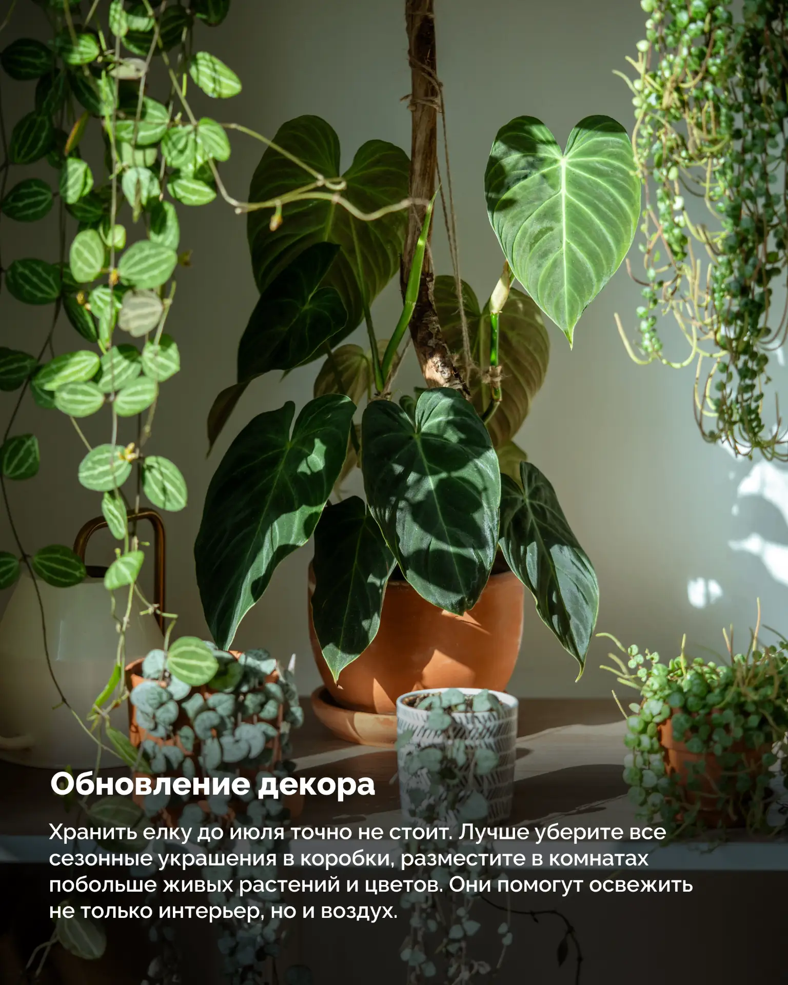 Пора встречать лето!  В карточках — полезные советы по уборке дома перед жарким сезоном!