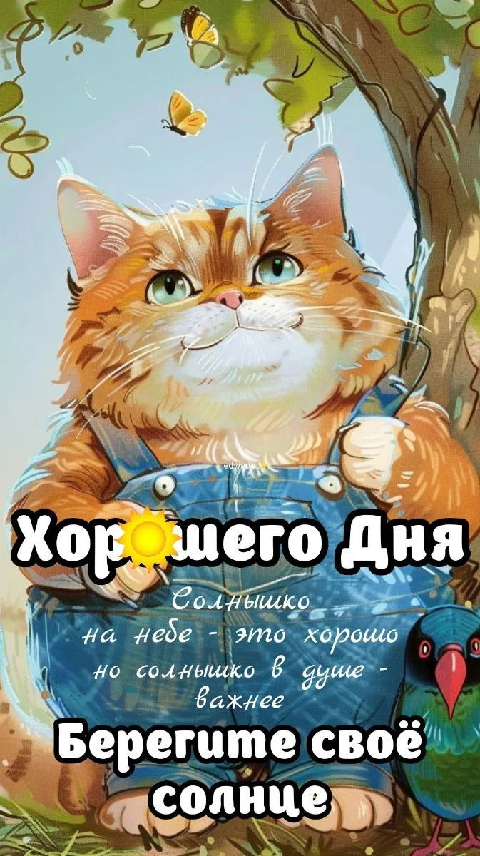 МИР ПОЗИТИВА 🤩 ОТКРЫТКИ!