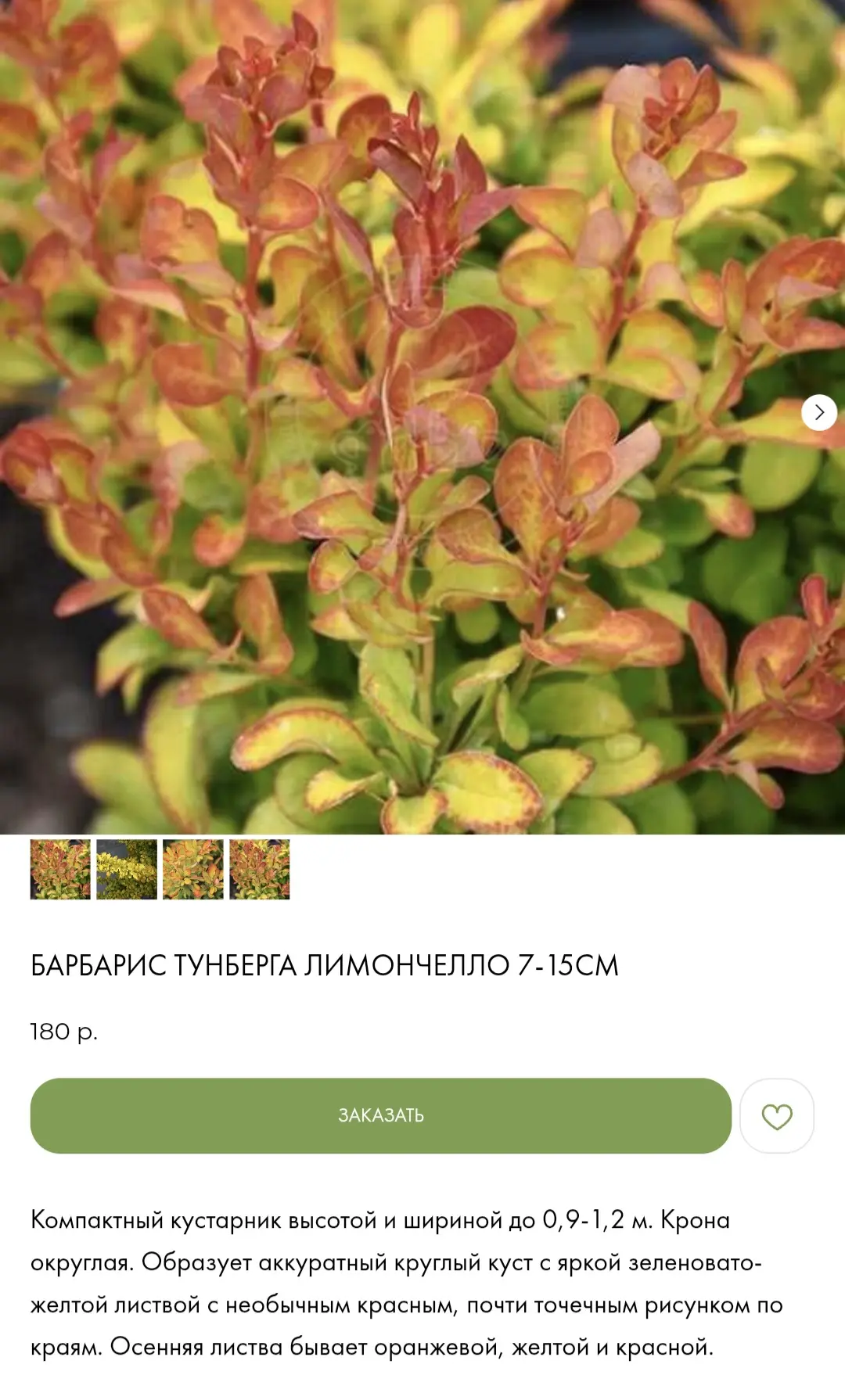 Доброго всем вечера!