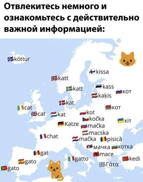 Минутка полезностей.