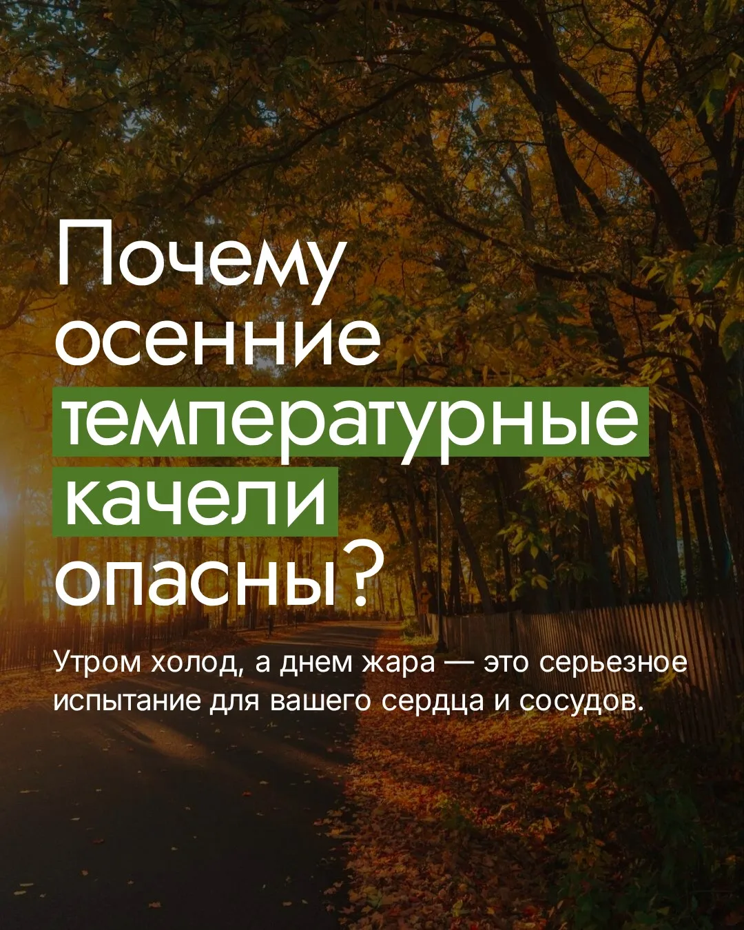 Почему осенью «разваливается» самочувствие? 🍂