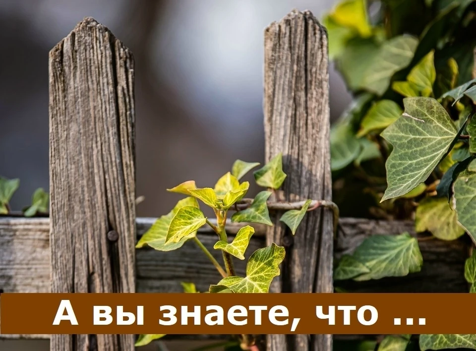 Землевладельцу может грозить штраф от 5 000 рублей и более за неправильный забор на его...
