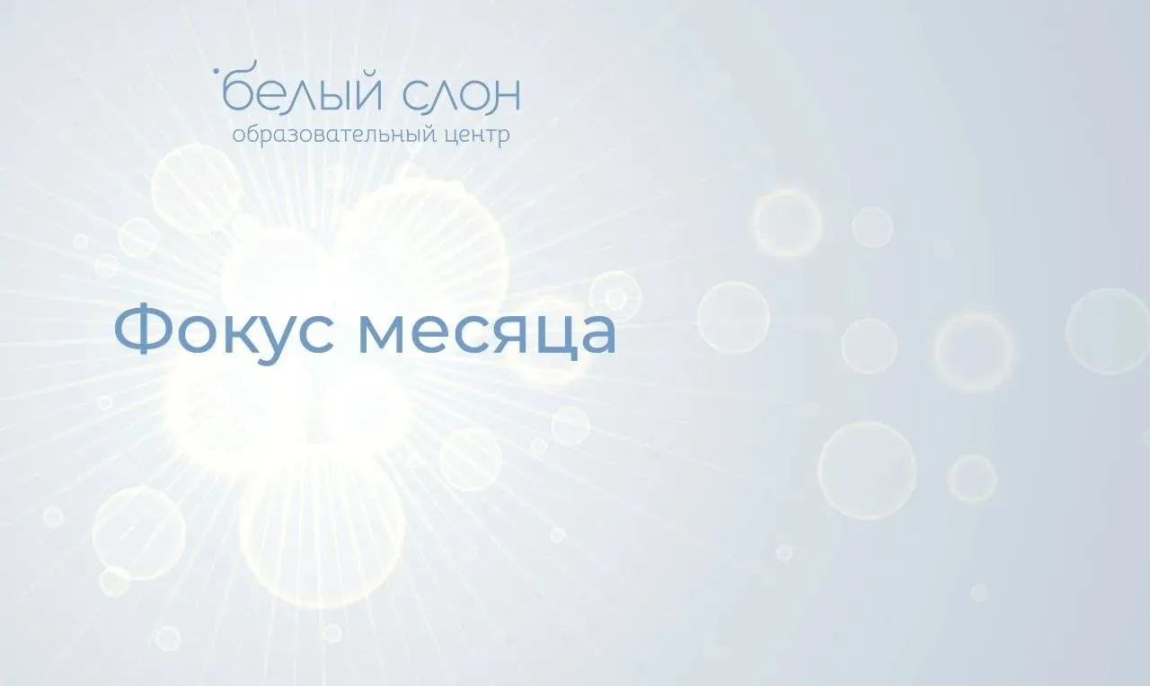 Коллеги, "Фокус месяца" подошел к концу.