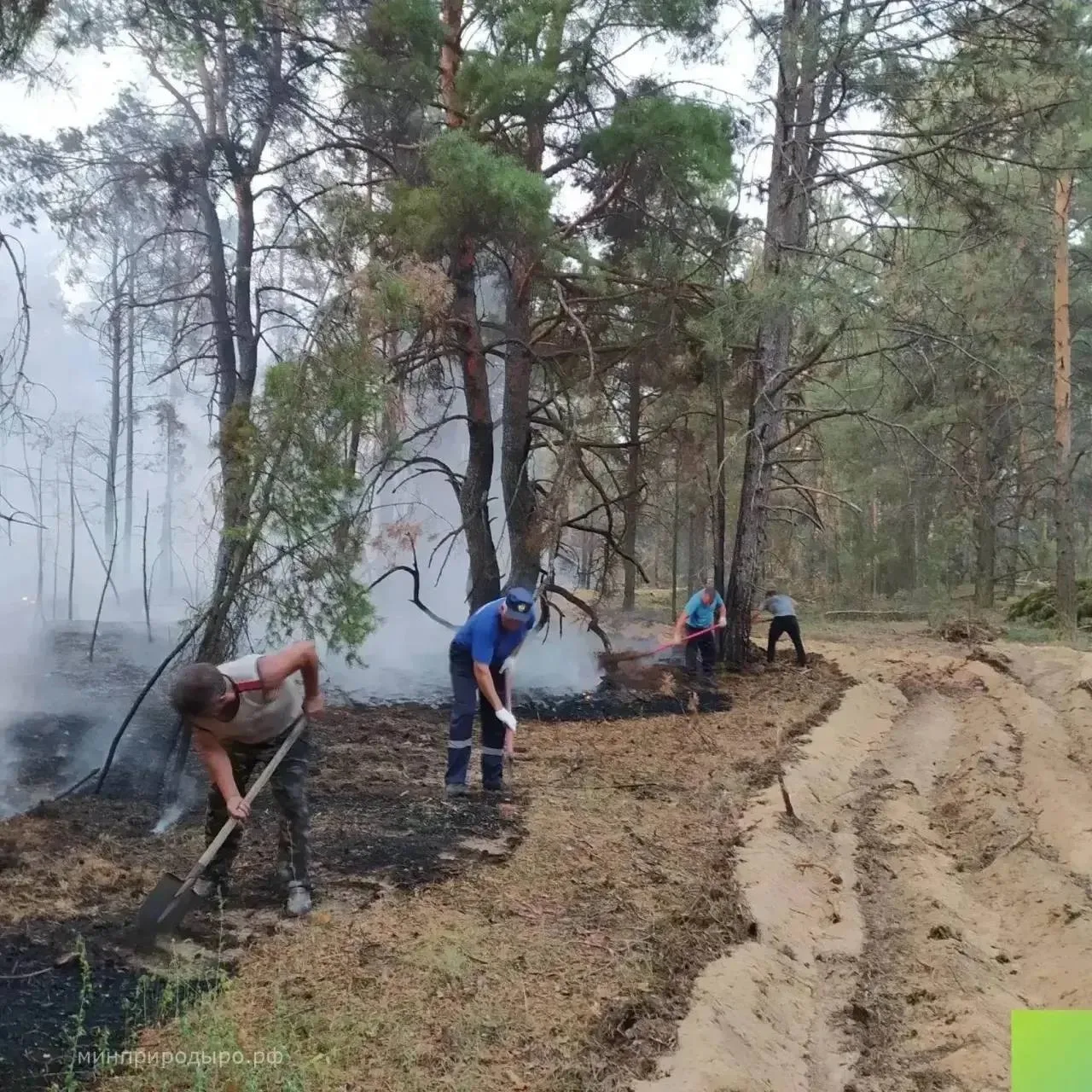 Лесной пожар в Верхнедонском районе охватил 358 гектаров