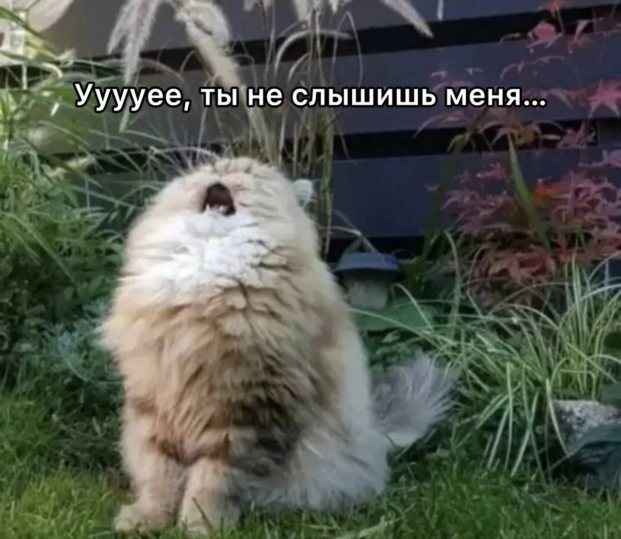 📈 Зумеры в России чаще теряют слух из-за громкой музыки 🎧