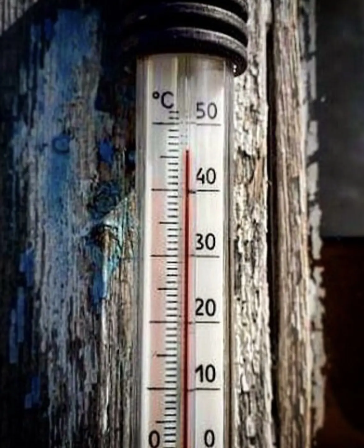 Август топит…

Михайловка в кадре 

#НашГородМихайловка