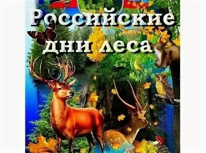 🎉 Сегодня в  группе «Фантазёры» отметили Российский день леса! 🌲🍂