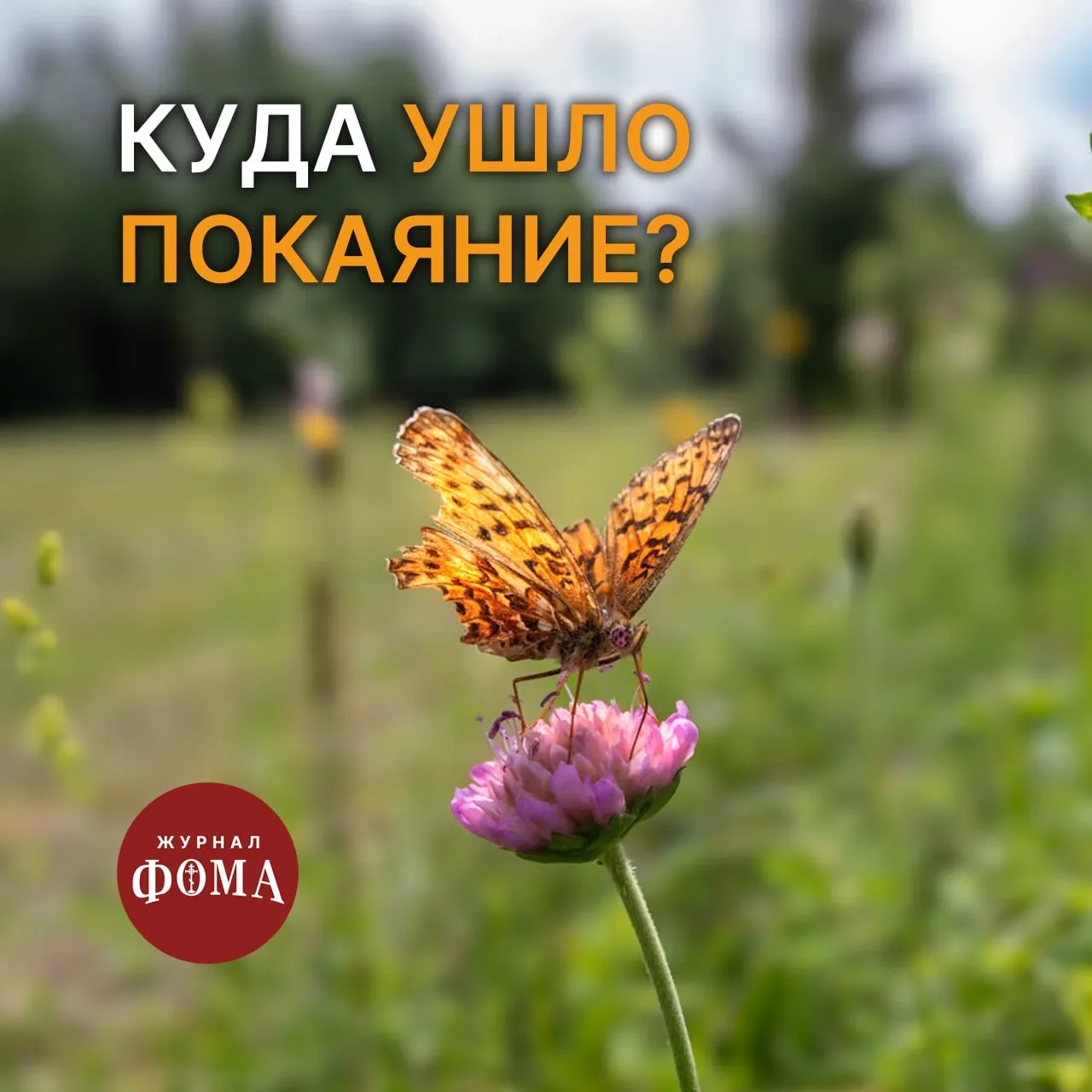 Добрый день! Когда воцерковлялась, регулярно ходила в храм на исповедь и Причастие, душа тянулась к 