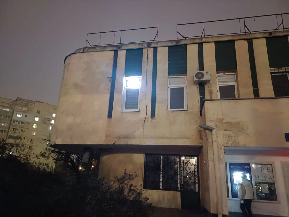 Если бы у меня был такой кот, я бы не женился...