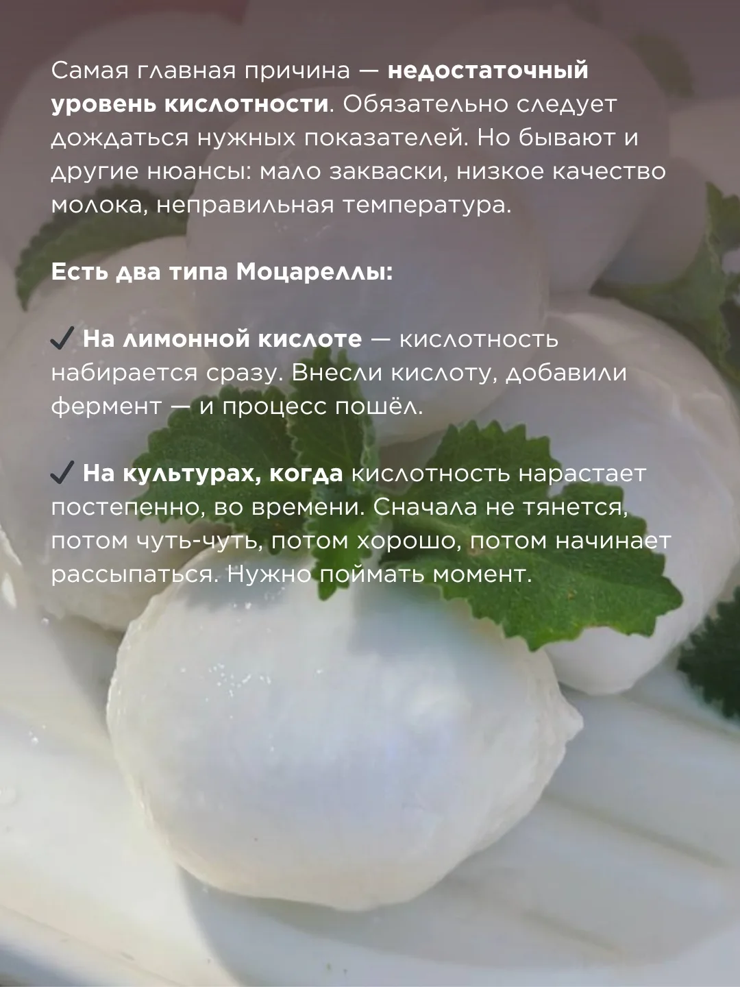 Почему Моцарелла не тянется?   Сделали Моцареллу, а она рвётся, крошится или не тянется совсем? Вмес