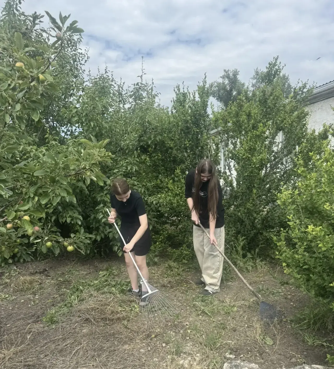 ☀️ Трудовые будни с пользой и улыбкой!

На базе нашей школы активно работает лагерь труда и отдыха! 