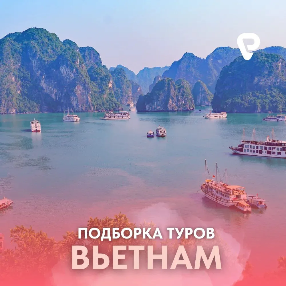 🇻🇳 Вьетнам: там, где просыпаешься под шум прибоя
Вьетнам, июль, солнце и море. Что ещё нужно для и