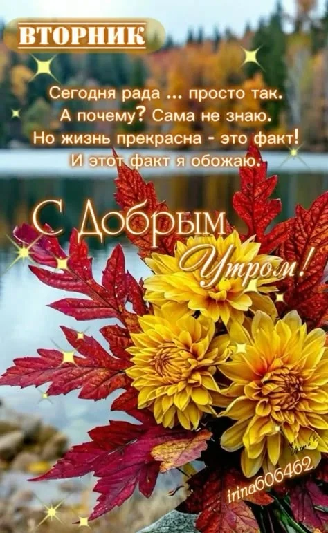 👉 ОТКРЫТКИ 💗 С добрым утром!