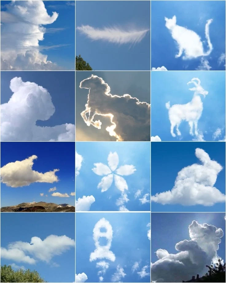 День наблюдения за облаками: Погрузитесь в небесную симфонию! ☁️

☁Сегодня, 20 июня, мы отмечаем уди