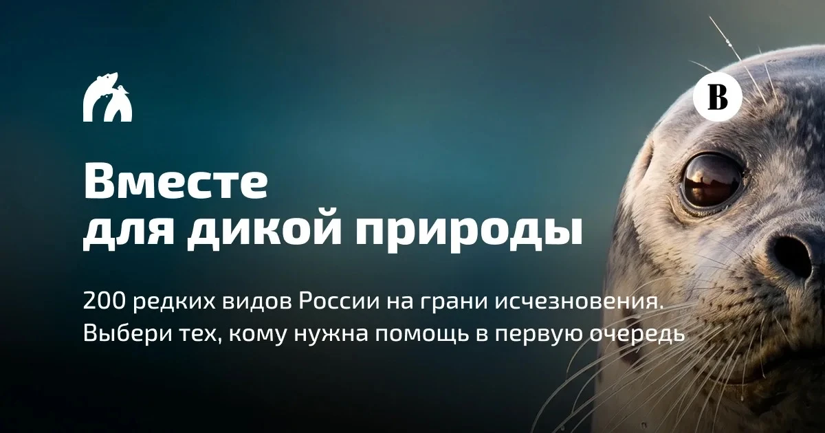 Присоединяйтесь к проекту «Вместе для дикой природы»!