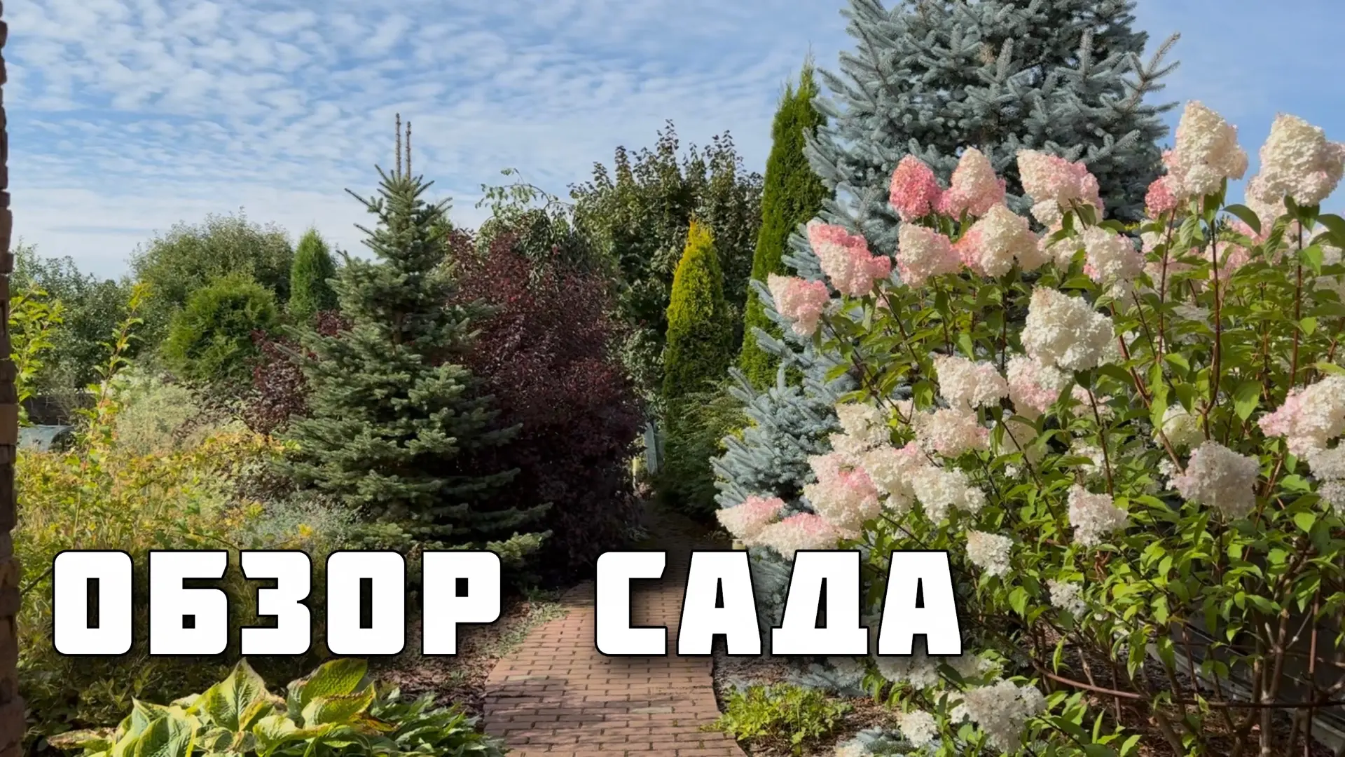 Новое видео!