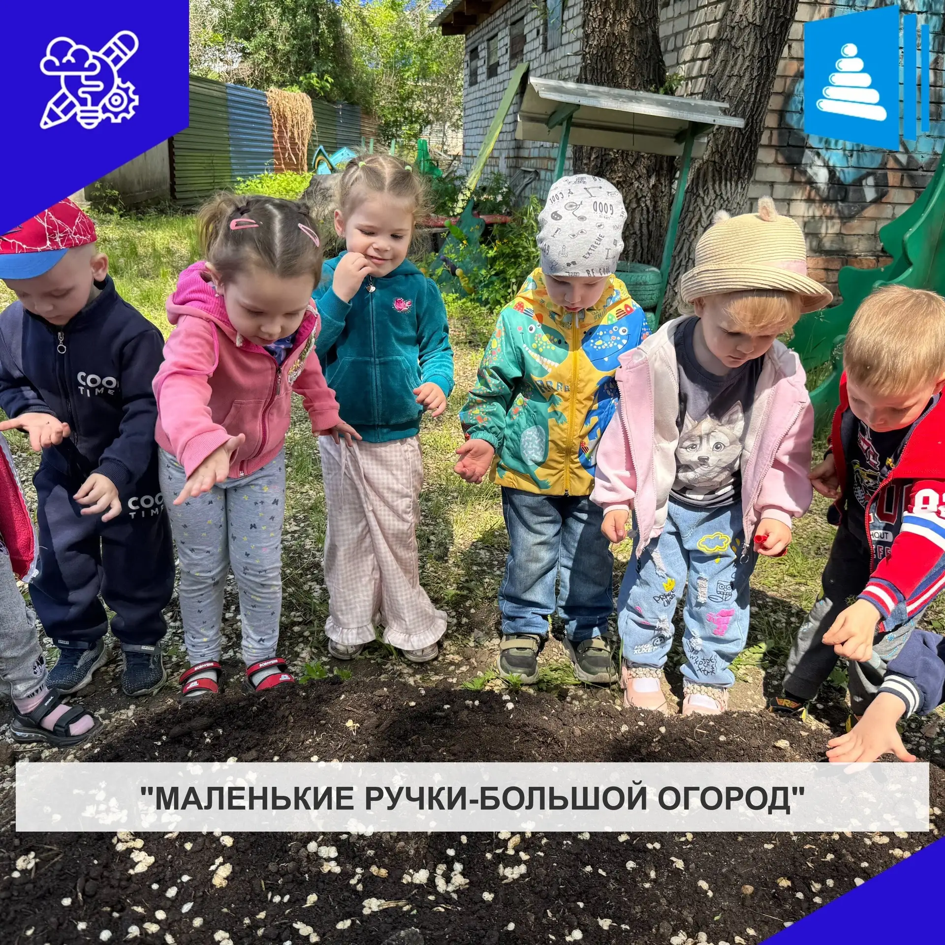 Сегодня наши малыши превратились в настоящих огородников! С большим энтузиазмом и старанием дети выс