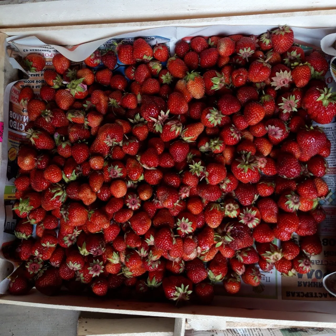 В продаже свежая клубника 🍓🍓🍓 с Байкальска!