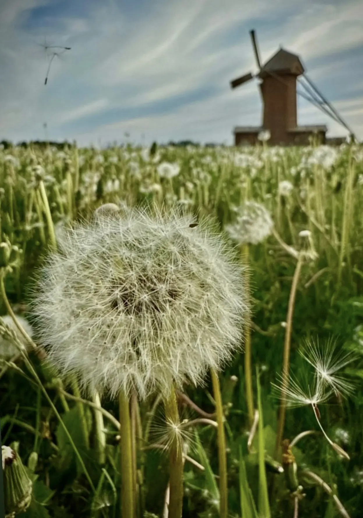 🌞 Лето!