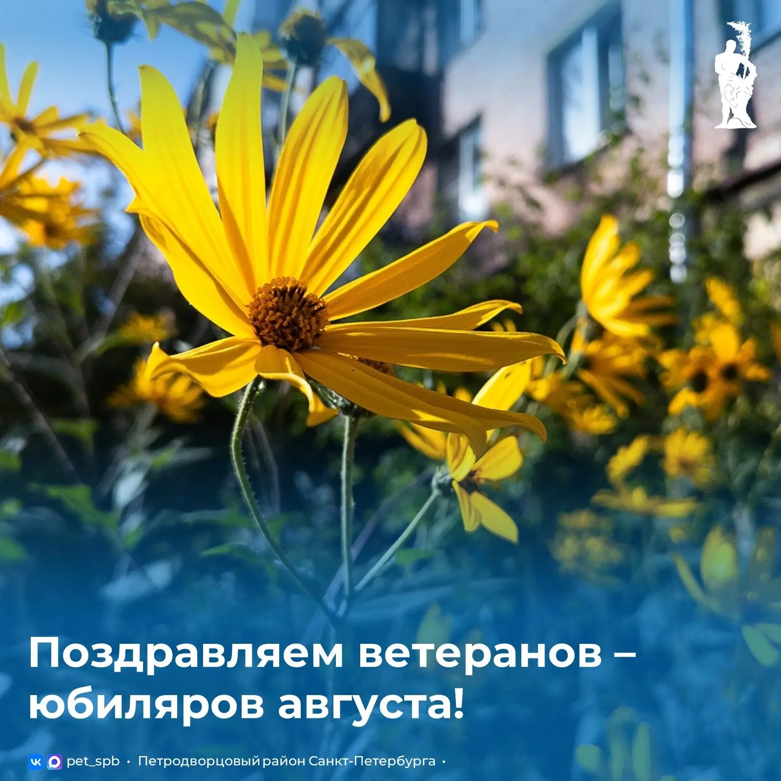 Поздравляем ветеранов — юбиляров августа!

🌹 101 год исполнится 20 августа Коц Анне Дмитриевне – уч