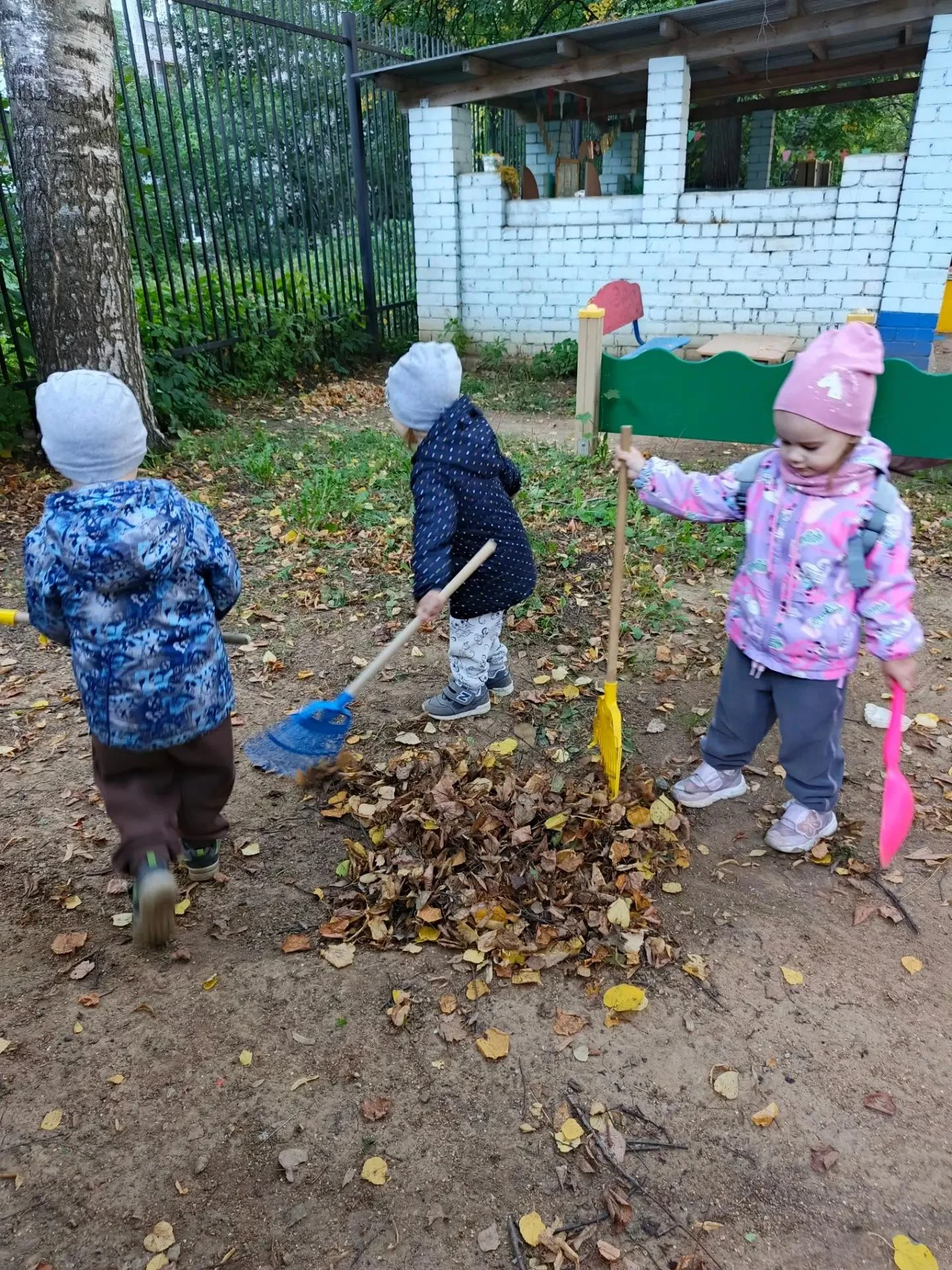 Они ещё совсем малышки , но такие умненькие