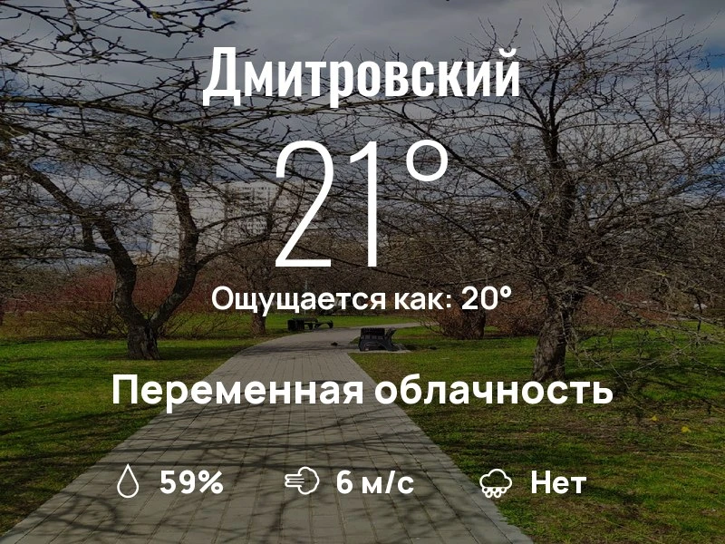 Что с погодой в Дмитровском?