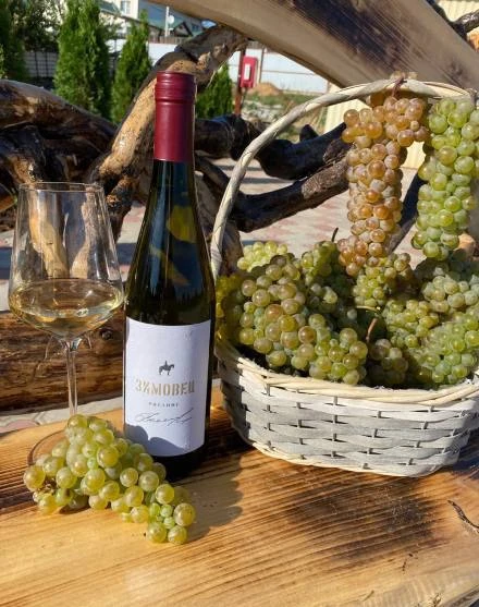 🍷 В ГОСТИ К «ЗИМОВЦУ»: ПРОБУЕМ ВИНА, ОТМЕЧЕННЫЕ ЭКСПЕРТАМИ
