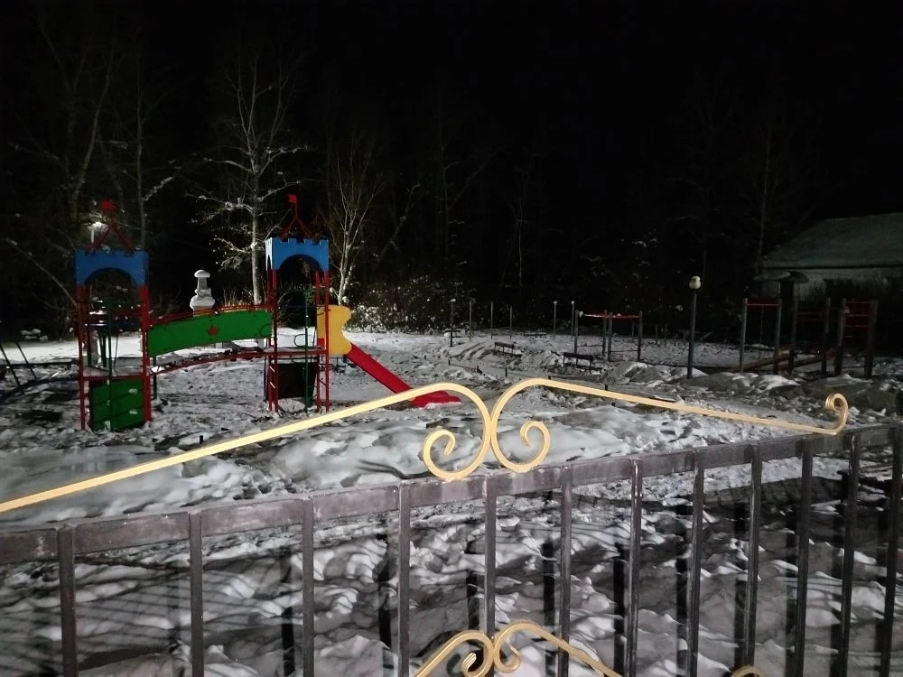 17.02.2026г. на дежурство выезжали родители 9а класса. Семья Салчак, Хомушку Ш.Р.