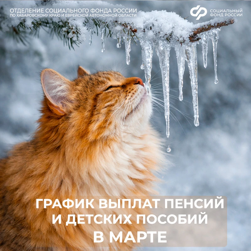 🗓️ Сроки выплат детских пособий и пенсий в марте 2026 года жителям Хабаровского края и Еврейской авт