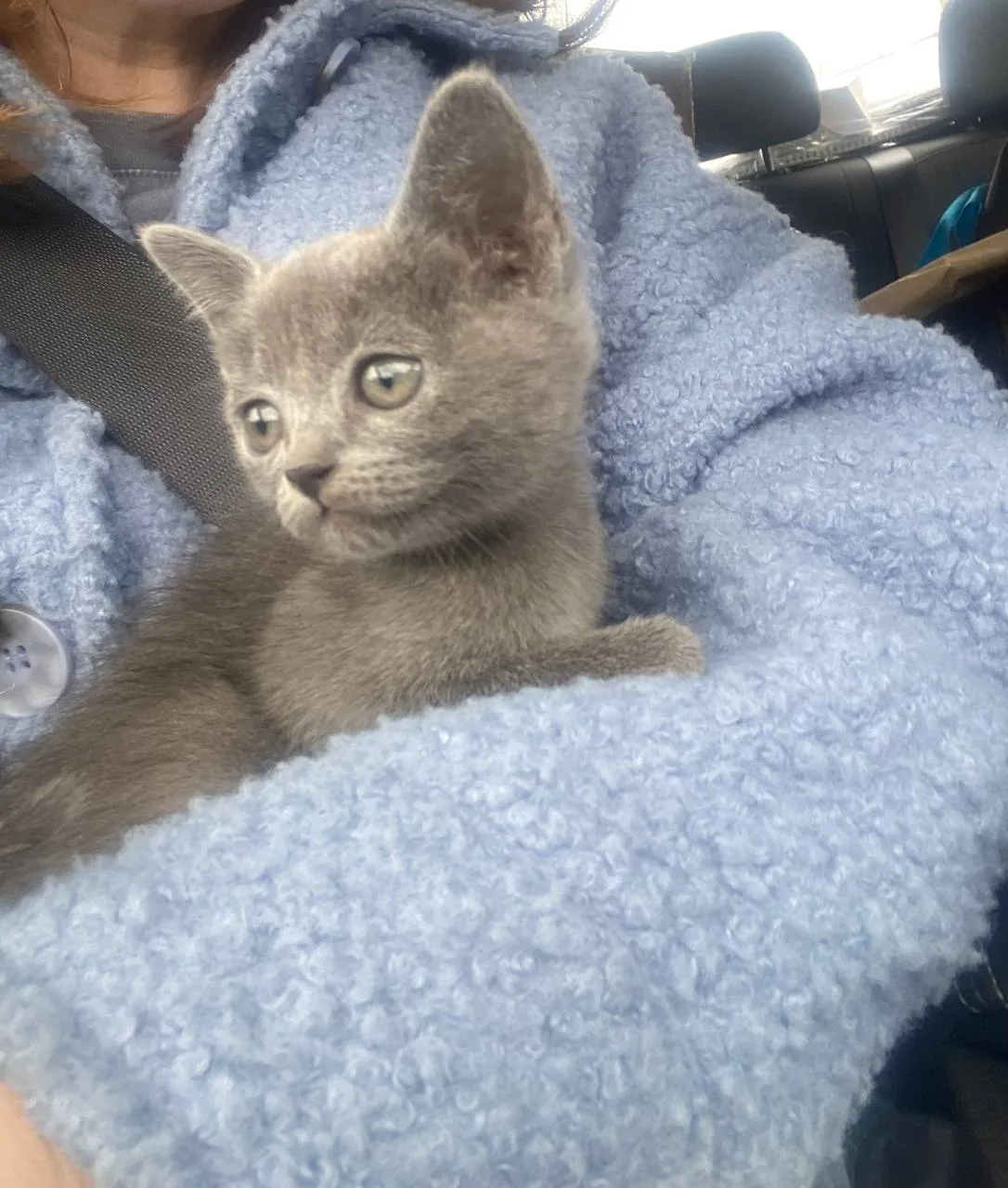 А у меня после весеннего интенсива тоже исполнилось заветное желание 😻 Может кому-то о...