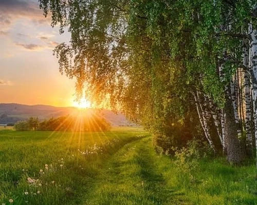 Лето — пора ярких красок и новых открытий! 🌞🌿

Знаете ли вы, что летом природа особенно «наполнена