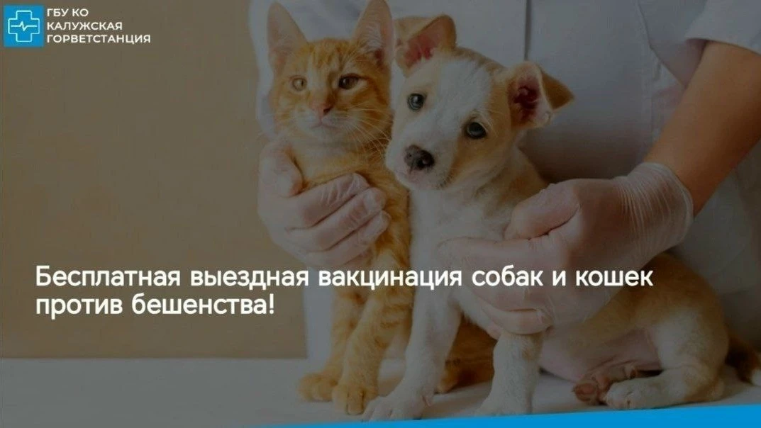 Уважаемые владельцы домашних животных, проживающие в д. Калашников Хутор и в д. Рождест...