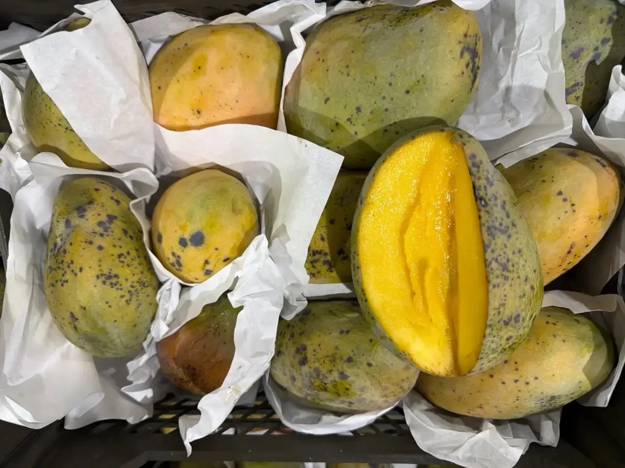 МАНГО ЕГИПЕТ 🇪🇬🔥🥭