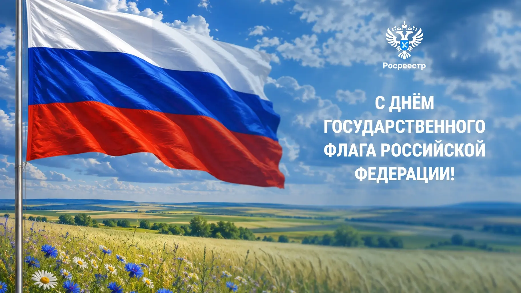 Дорогие друзья!