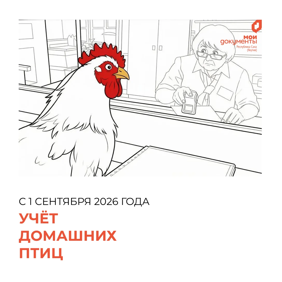 О новых правилах учёта домашней птицы с 1 сентября 2026 года 🐔📋
