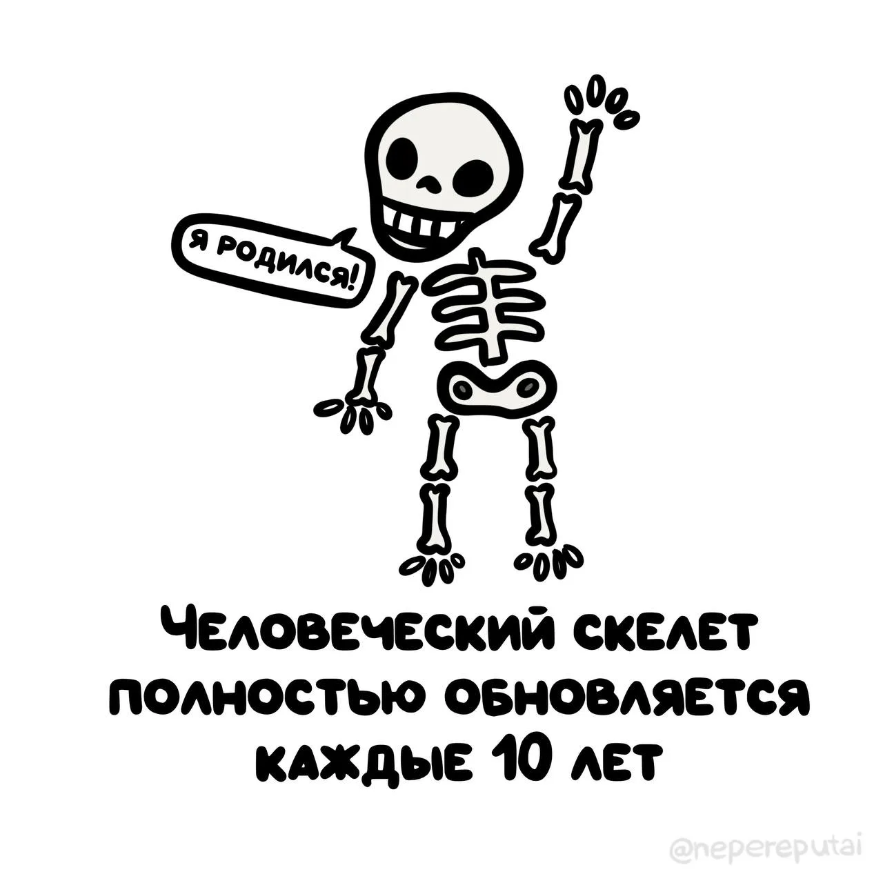 Забавно, но факт: каждый из нас — ходячая реконструкция!

Мы в МАХ