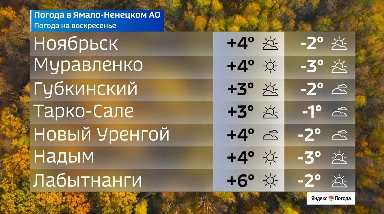 🌡 Первые морозы подступают к Ямалу