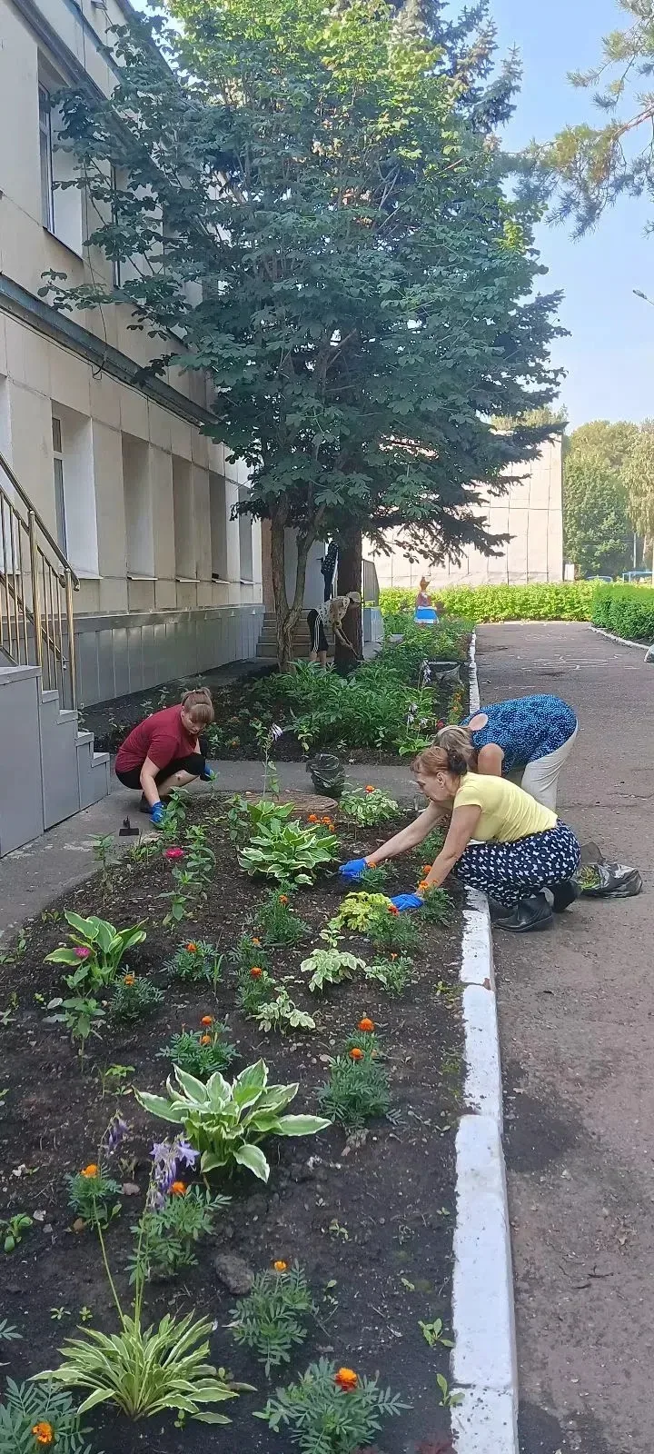 После капитального ремонта клумбы возвращаются в детский сад. 
Цветник в детском саду – часть образо